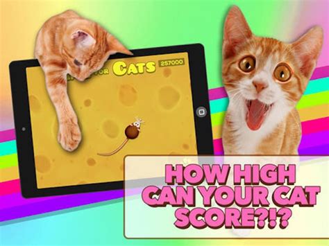 ipad games for cats fish|7 Cat Games for Your iPad or Android Tablet .